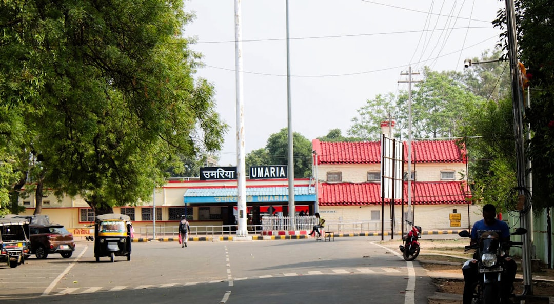 Umaria Town Web Development Services | Custom Website Design & Development in Umaria Town